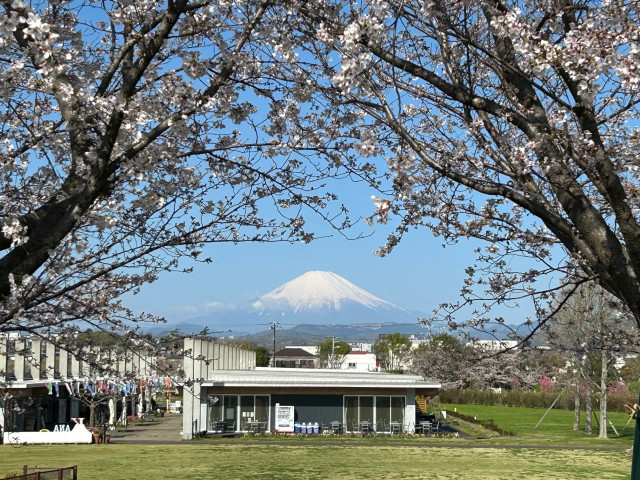 花菜ガーデン（神奈川県立花と緑のふれあいセンター）【平塚市】